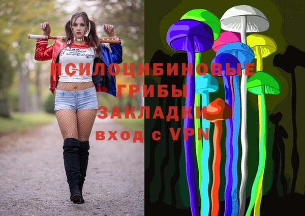 спиды Абаза