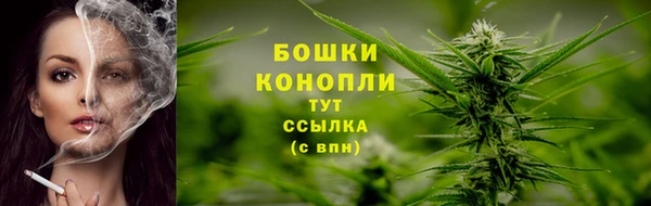 ГАЛЛЮЦИНОГЕННЫЕ ГРИБЫ Абинск