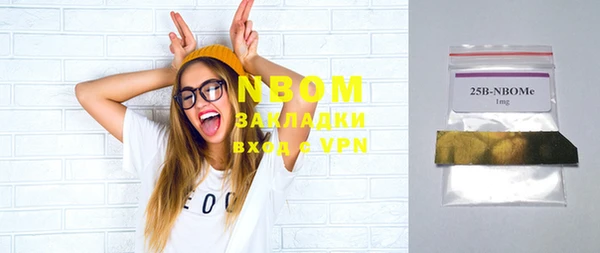 индика Абдулино