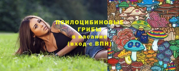 ГАЛЛЮЦИНОГЕННЫЕ ГРИБЫ Абинск