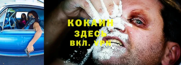 индика Абдулино