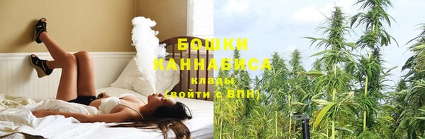ГАЛЛЮЦИНОГЕННЫЕ ГРИБЫ Абинск