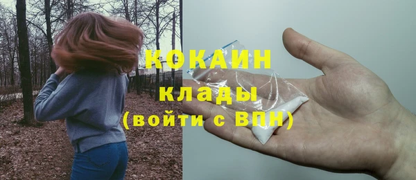 индика Абдулино