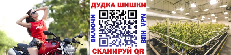 наркота  Советск  Марихуана ГИДРОПОН 
